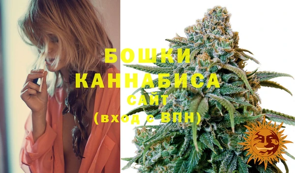 бошки Алексин