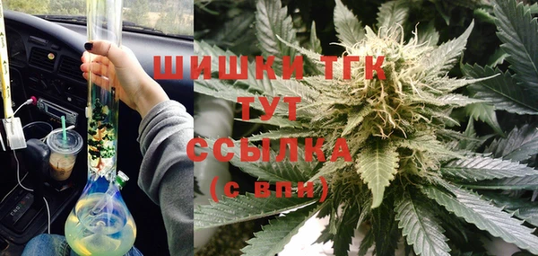 СК Алзамай