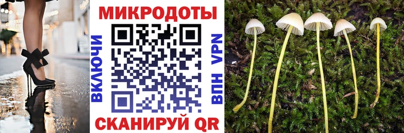 Галлюциногенные грибы MAGIC MUSHROOMS  Заволжье 
